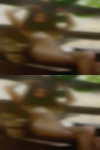Local horny housewives with